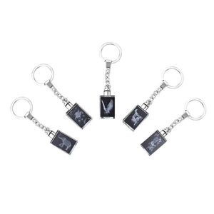 5 Piece Crystal LED Keychains (Rectangular)